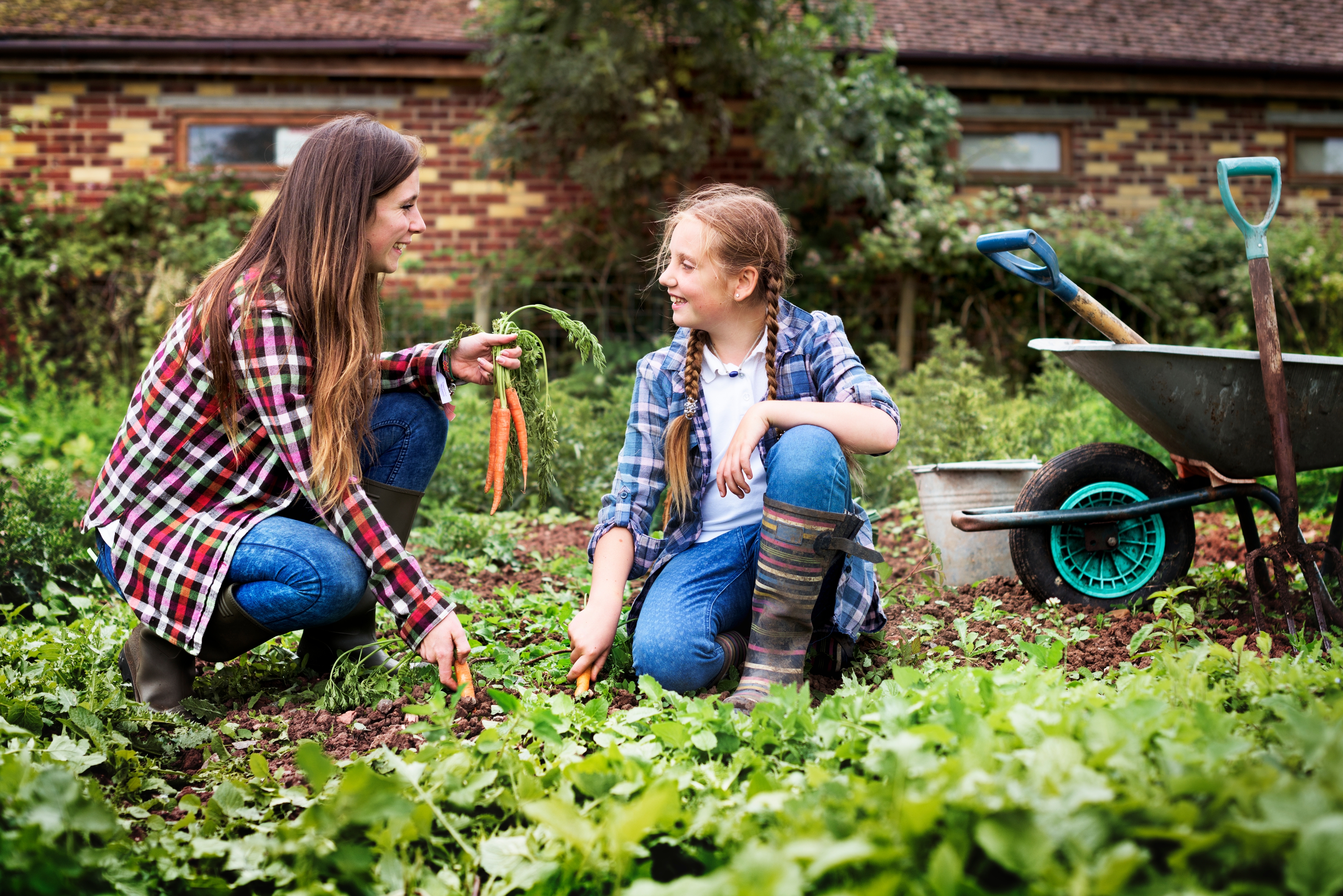 cultivate_garden_nature_seasonal_growth_concept